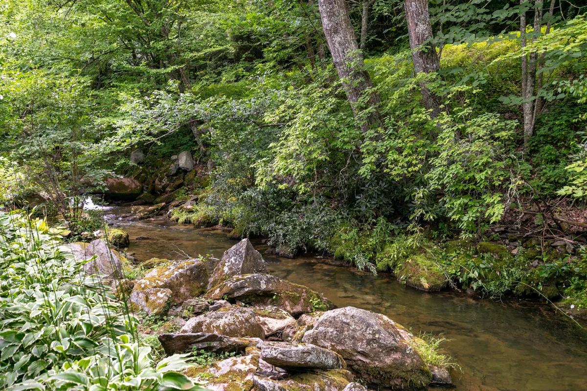 A scenic view of a stream winding through rocks and forested surroundings, with lush foliage and dappled sunlight. The natural beauty invites outdoor exploration and peaceful moments.