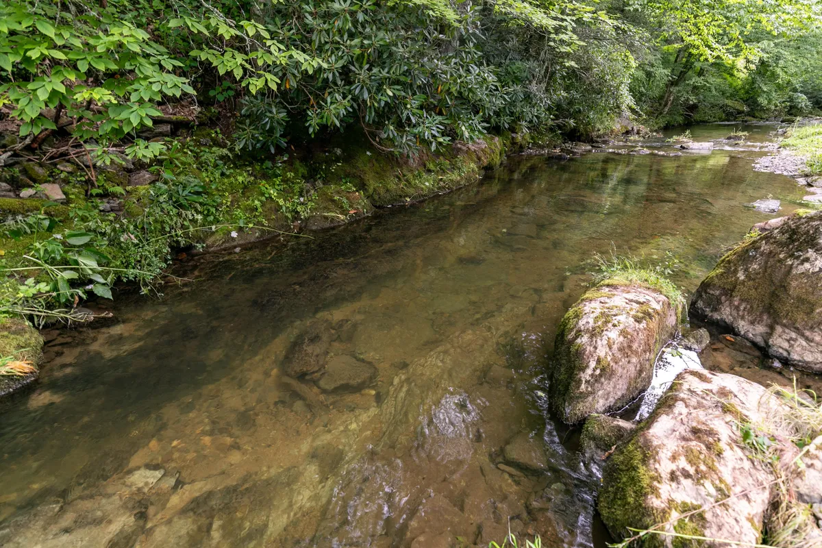 A tranquil stream flows gently over smooth rocks, surrounded by lush greenery and dappled sunlight. The scene feels secluded and serene, inviting visitors to walk along the water’s edge, enjoy the calming sounds of nature, or try their hand at fishing in the clear waters.